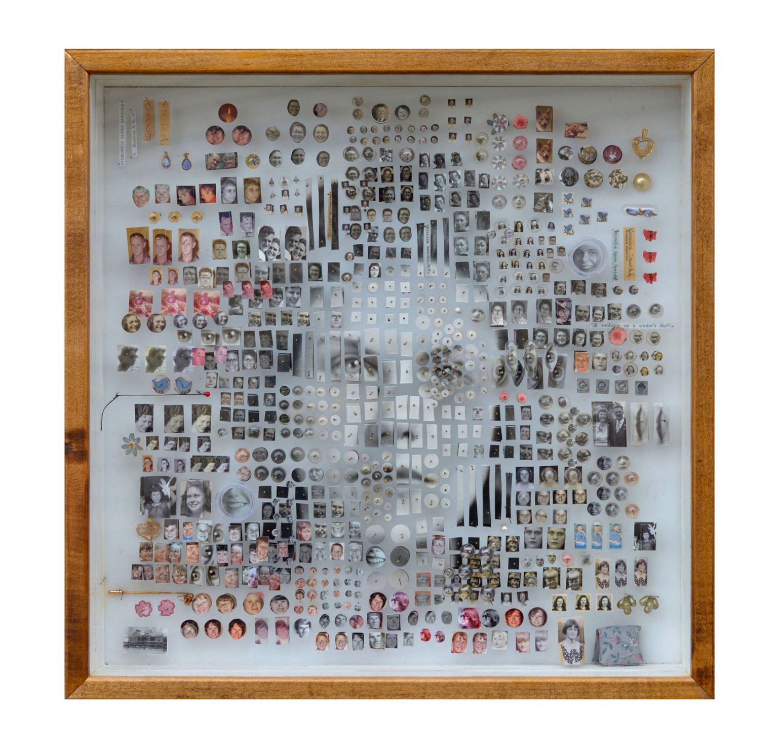 Specimens Intricate Fragmented Portraits By Michael Mapes Daily