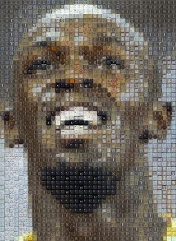 Celebrity Portraits Made of Keyboards by WBK | Daily design inspiration ...