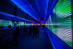 The Pixels Crossing: Interactive Installation by Miguel Chevalier ...