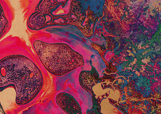 Psychedelic Artworks by Leif Podhajsky | Daily design inspiration for ...