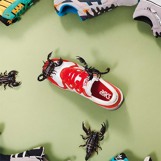 Animals vs Sneakers: Photo Series by Joseph Ford | Daily design ...
