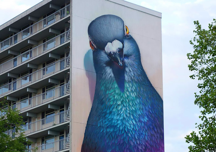 Pigeon Murals: Street Art by Super A | Daily design inspiration for creatives | Inspiration Grid