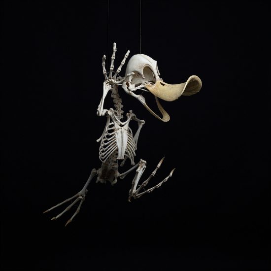 New Anatomical Artworks of Cartoon Characters by Hyungkoo Lee | Daily ...