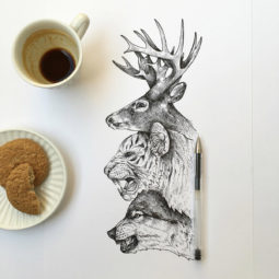 Hand Drawn Animal Illustrations by Alfred Basha | Daily design ...