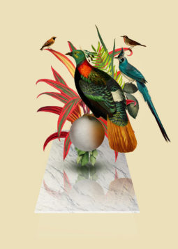 Surreal Digital Collages By Orbeh | Daily Design Inspiration For ...