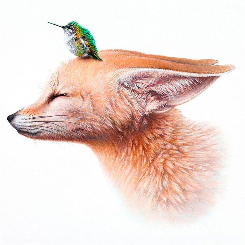 Surreal Animal Paintings by Jacub Gagnon | Daily design inspiration for ...