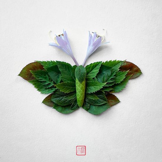 Insects made of flowers and plants by Raku Inoue | Daily design ...