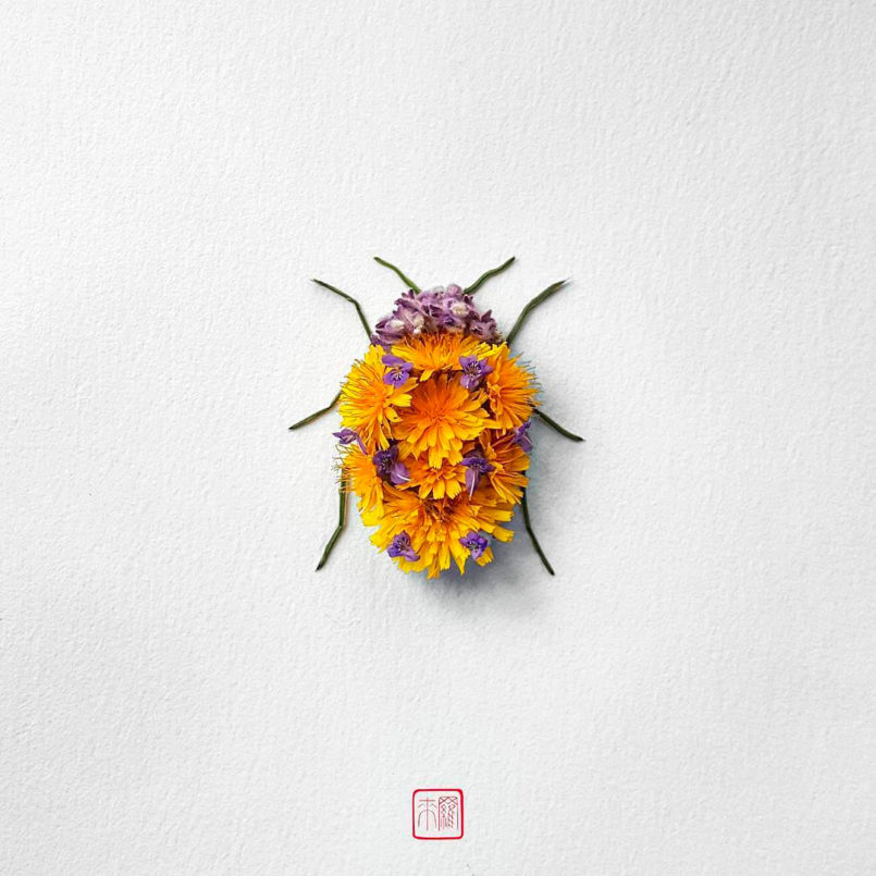 Insects made of flowers and plants by Raku Inoue | Daily design ...