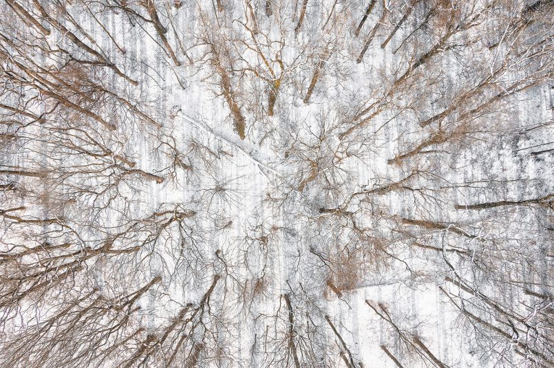 The White Series: Aerial Photography by Tom Hegen | Daily design ...