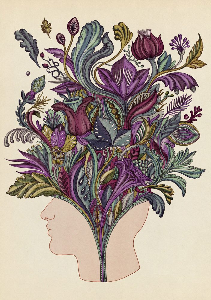 Beautiful Biology: Illustrations by Katie Scott | Daily design ...