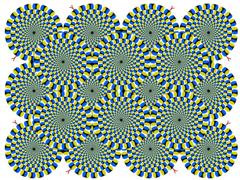 A Trick Of The Eye: Optical Illusions By Akiyoshi Kitaoka | Daily ...