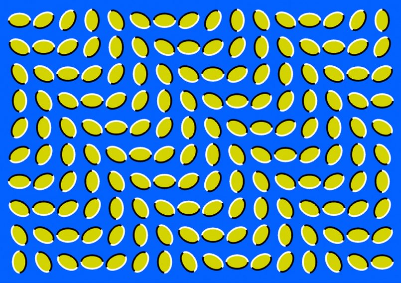 A Trick Of The Eye: Optical Illusions By Akiyoshi Kitaoka | Daily ...