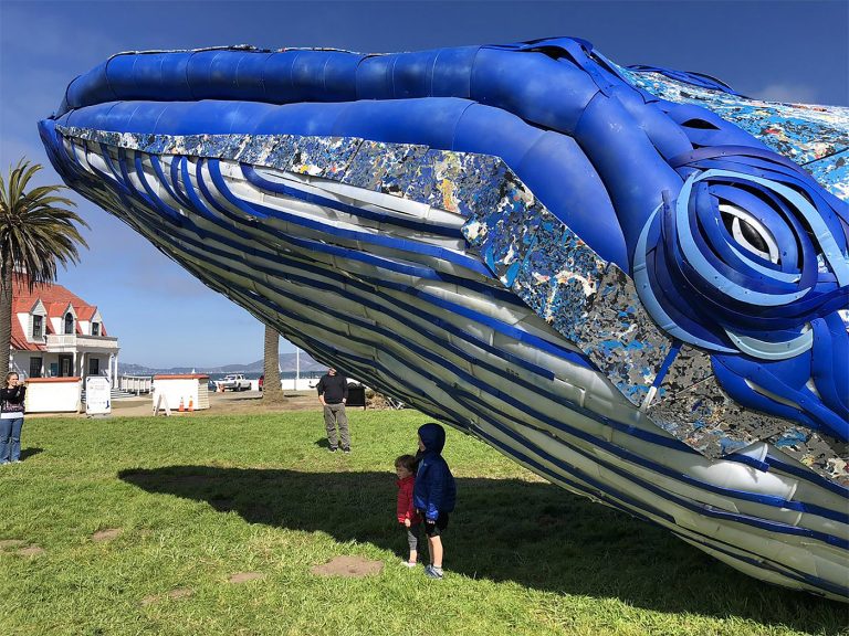 Life-Sized Blue Whale Art Installation by Hub | Daily design ...