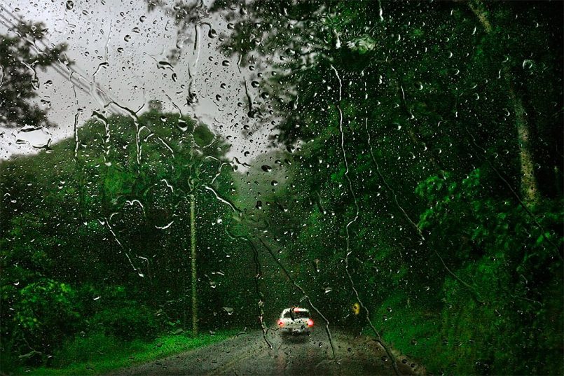 In The Rain: Gorgeous Photos By Christophe Jacrot 