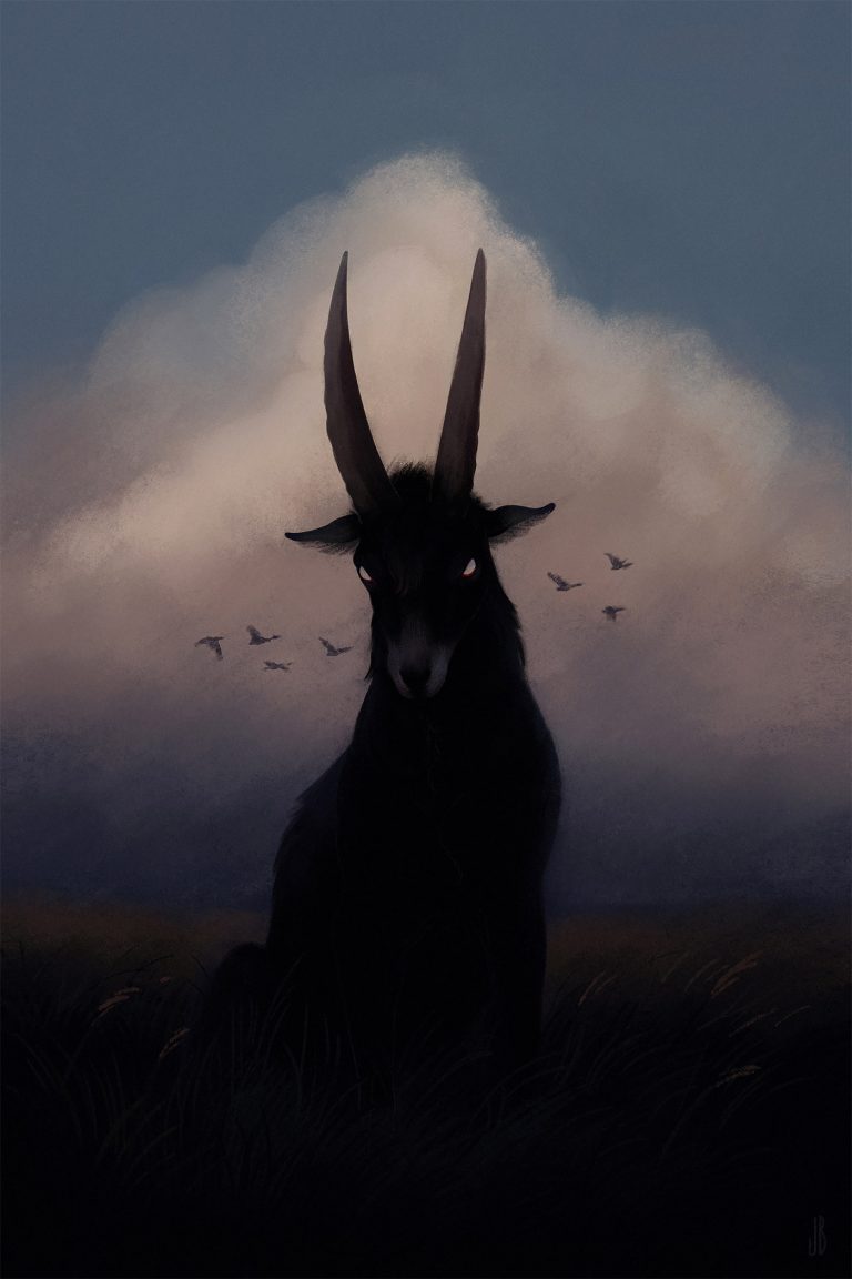 In the Shadows: Animal Illustrations by Jenna Barton | Daily design ...