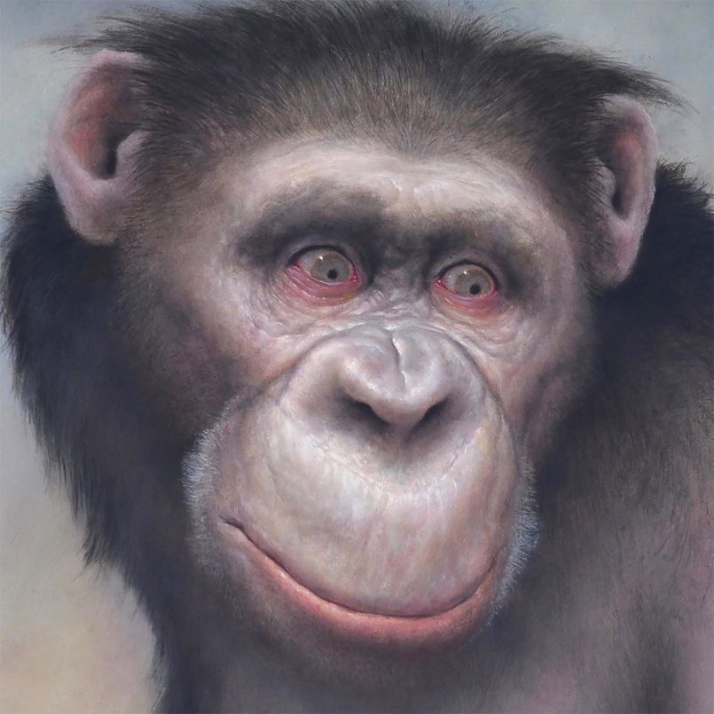 Primates & Astronauts: Paintings By Chris Leib 