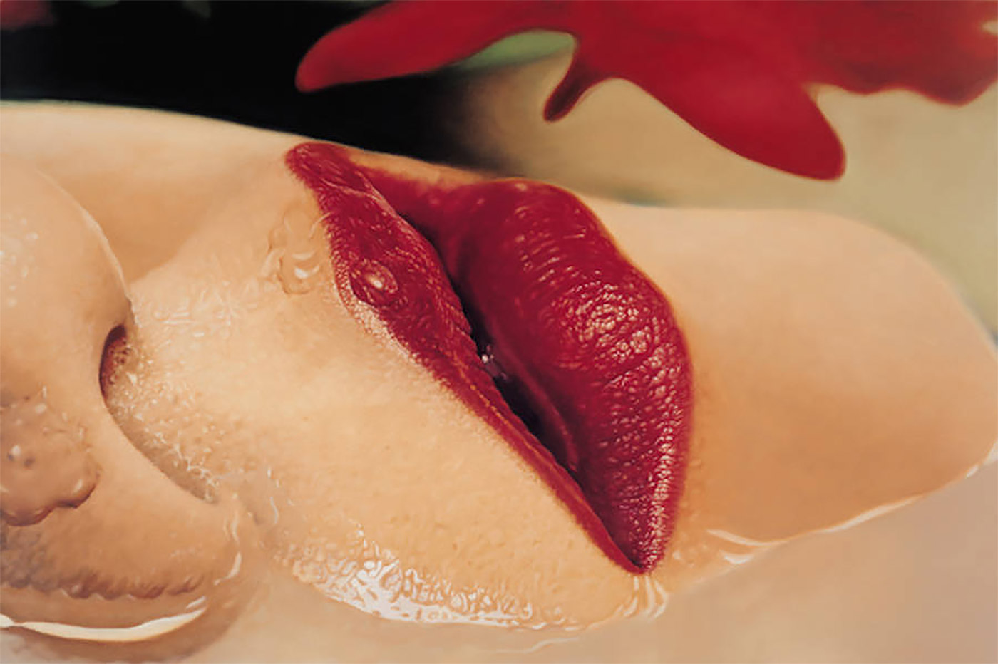 Красивые женские половые губы