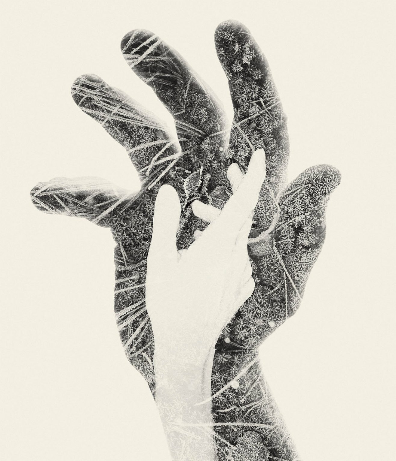 Christoffer Ralander Images We are nature: Double-Exposure Photos by Christoffer Relander | Daily ...
