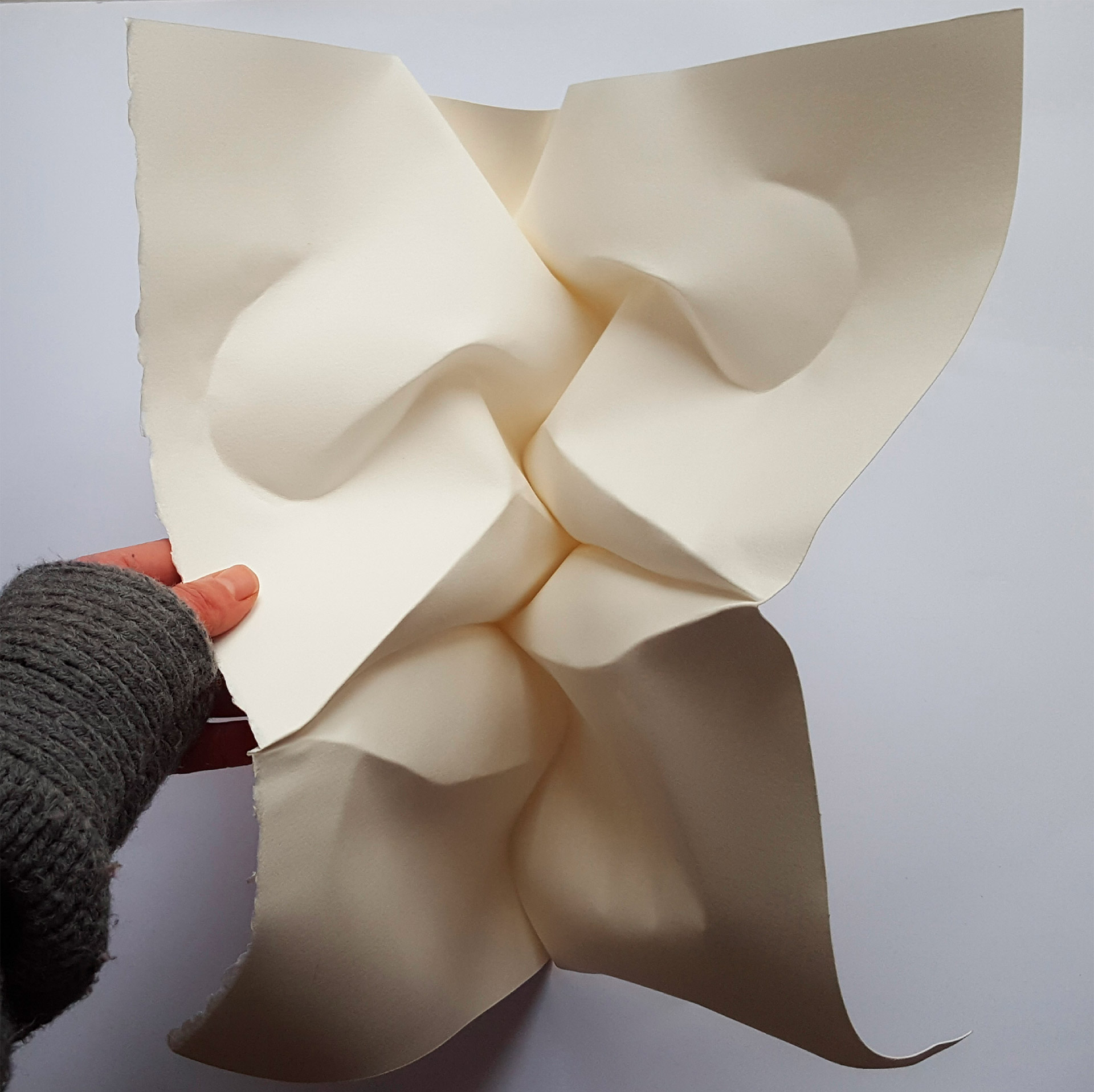 Download Wet Folded Paper Sculptures by Polly Verity | Daily design ...