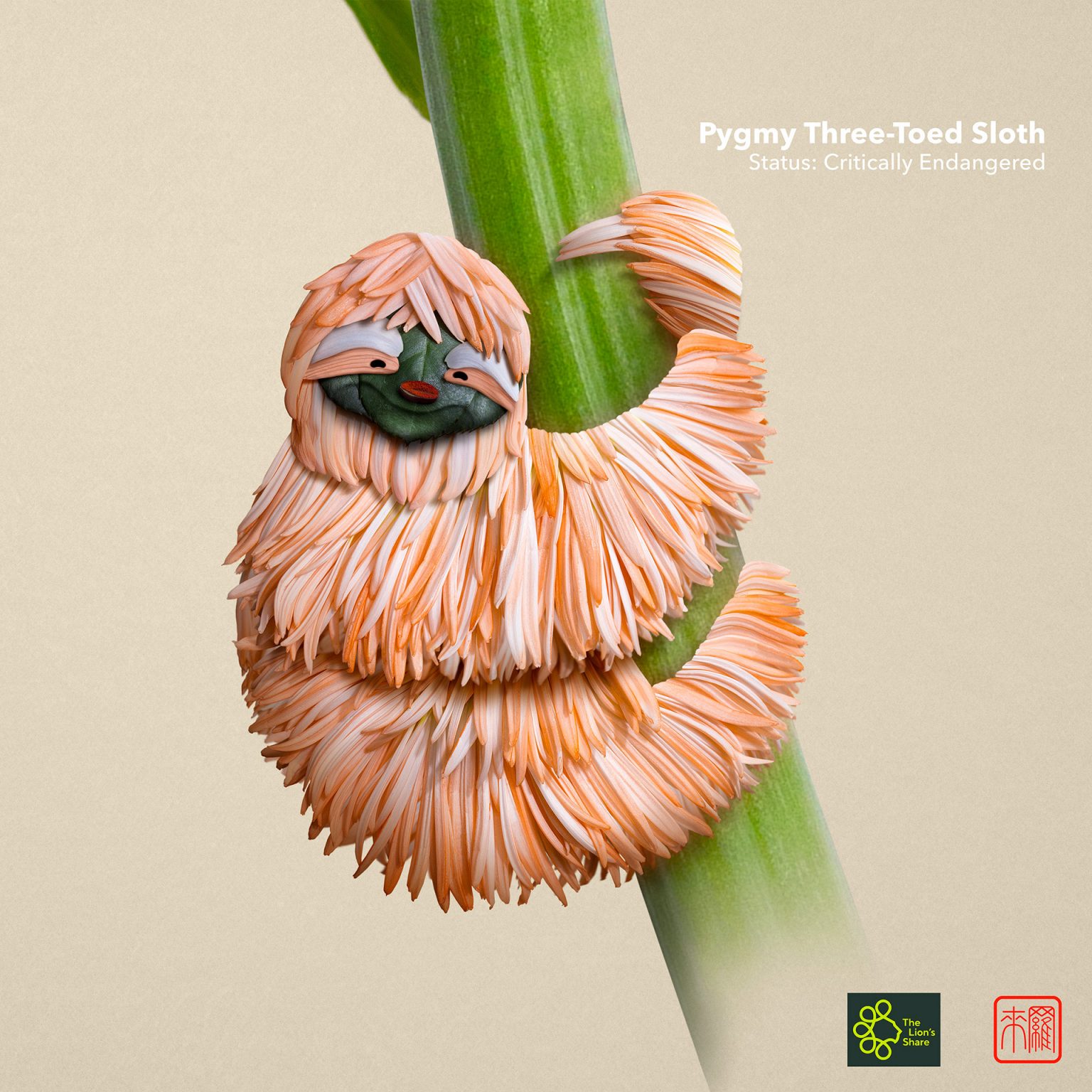 Floral Patterns & Compositions by Raku Inoue | Daily design inspiration ...