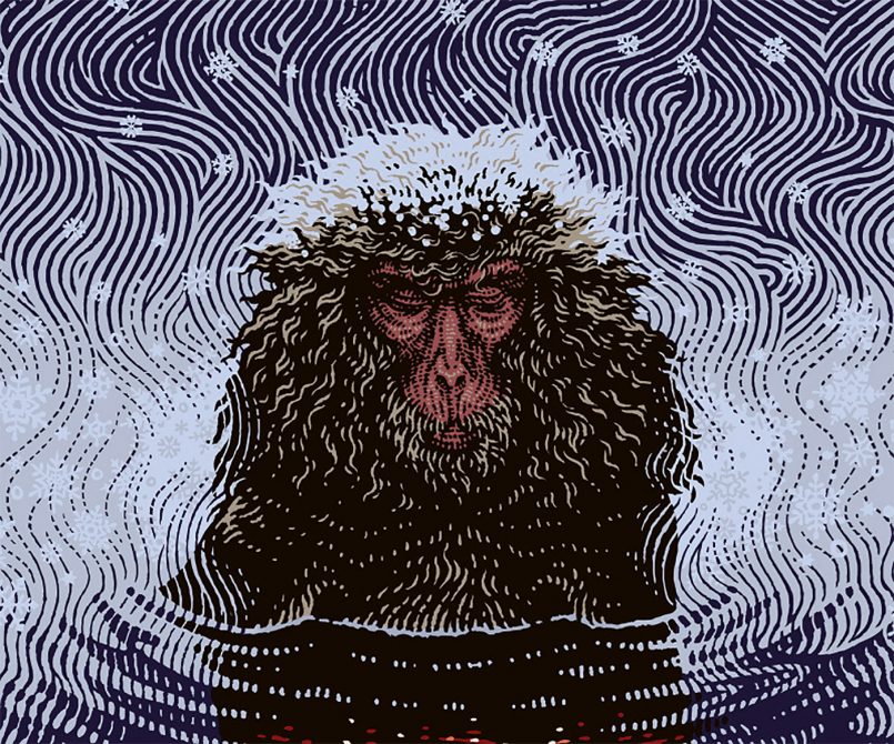 CrossHatching Illustrations by Tatiana Trikoz Daily design inspiration for creatives