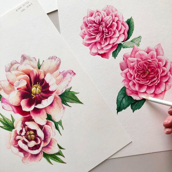 Realistic Pen & Pencil Drawings by Phoebe Atkey | Daily design ...