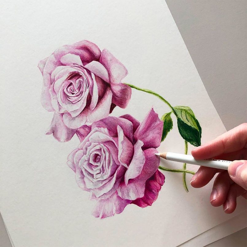 Realistic Pen & Pencil Drawings by Phoebe Atkey | Daily design ...