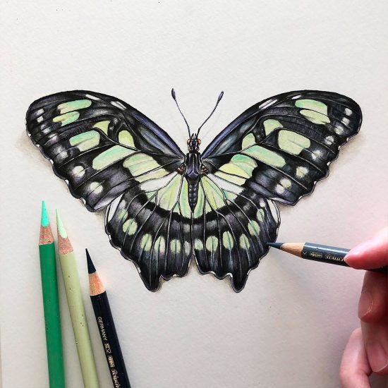 Realistic Pen & Pencil Drawings by Phoebe Atkey | Daily design ...