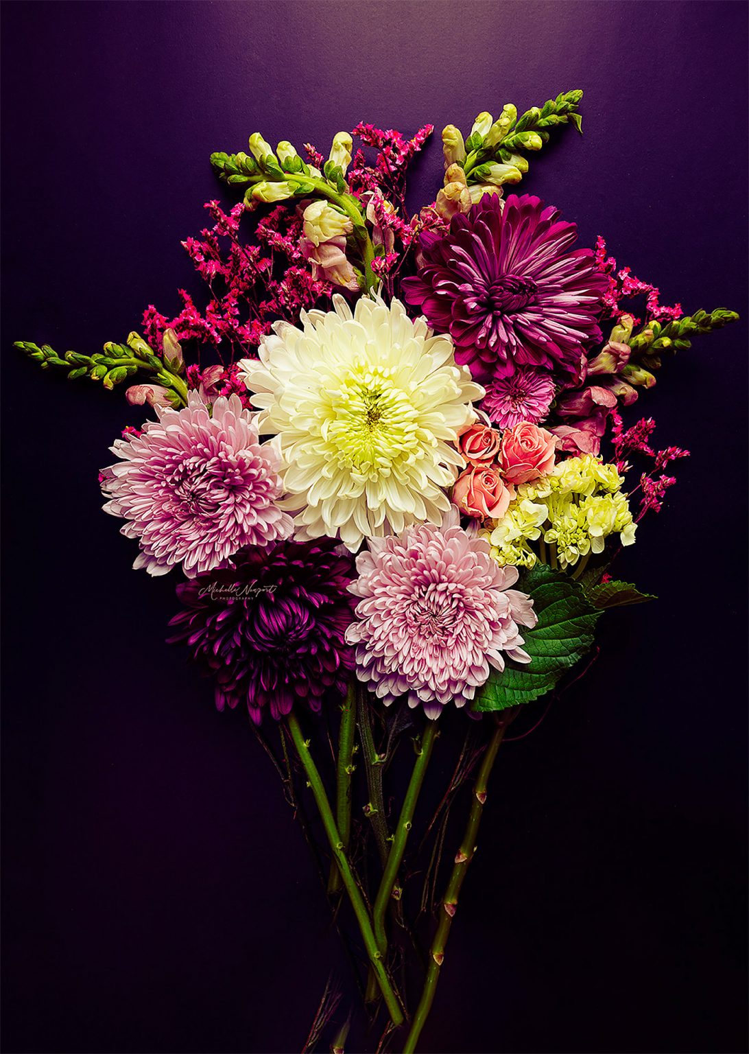 Fine Art Flower Photography By Michelle Newport 