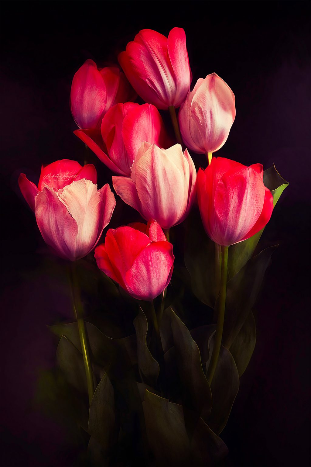 Fine Art Flower Photography By Michelle Newport Daily Design 