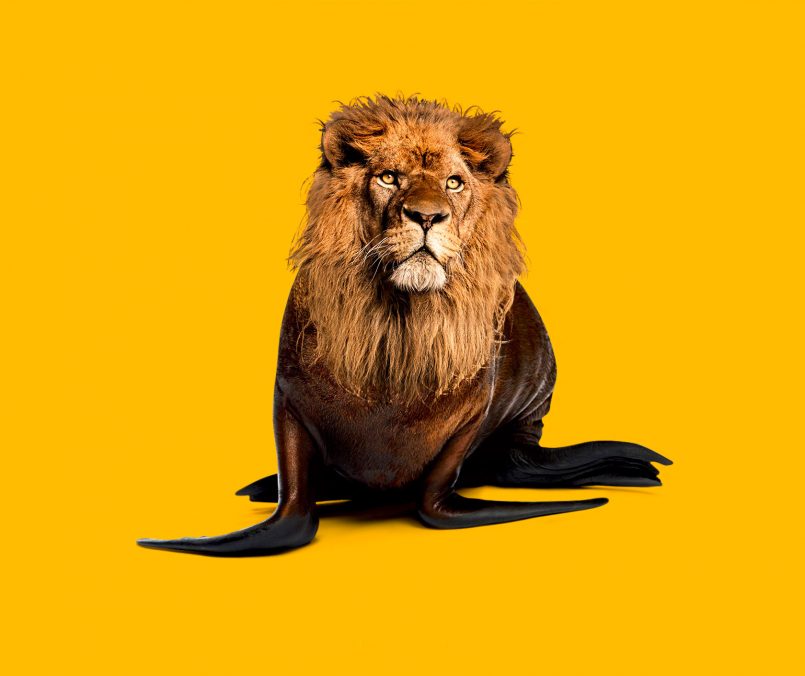 Fun Photo Manipulations by Randy Lewis | Daily design inspiration for ...