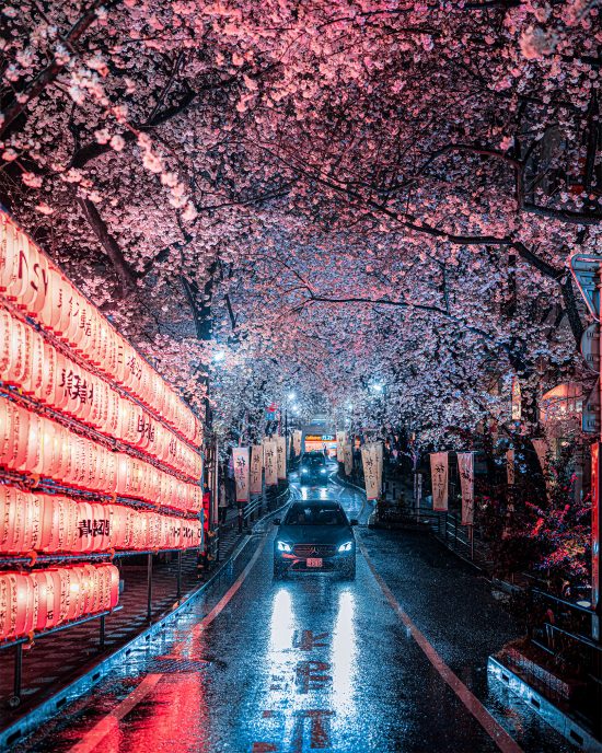 Rainy Tokyo: Photos by Junya Watanabe | Daily design inspiration for ...