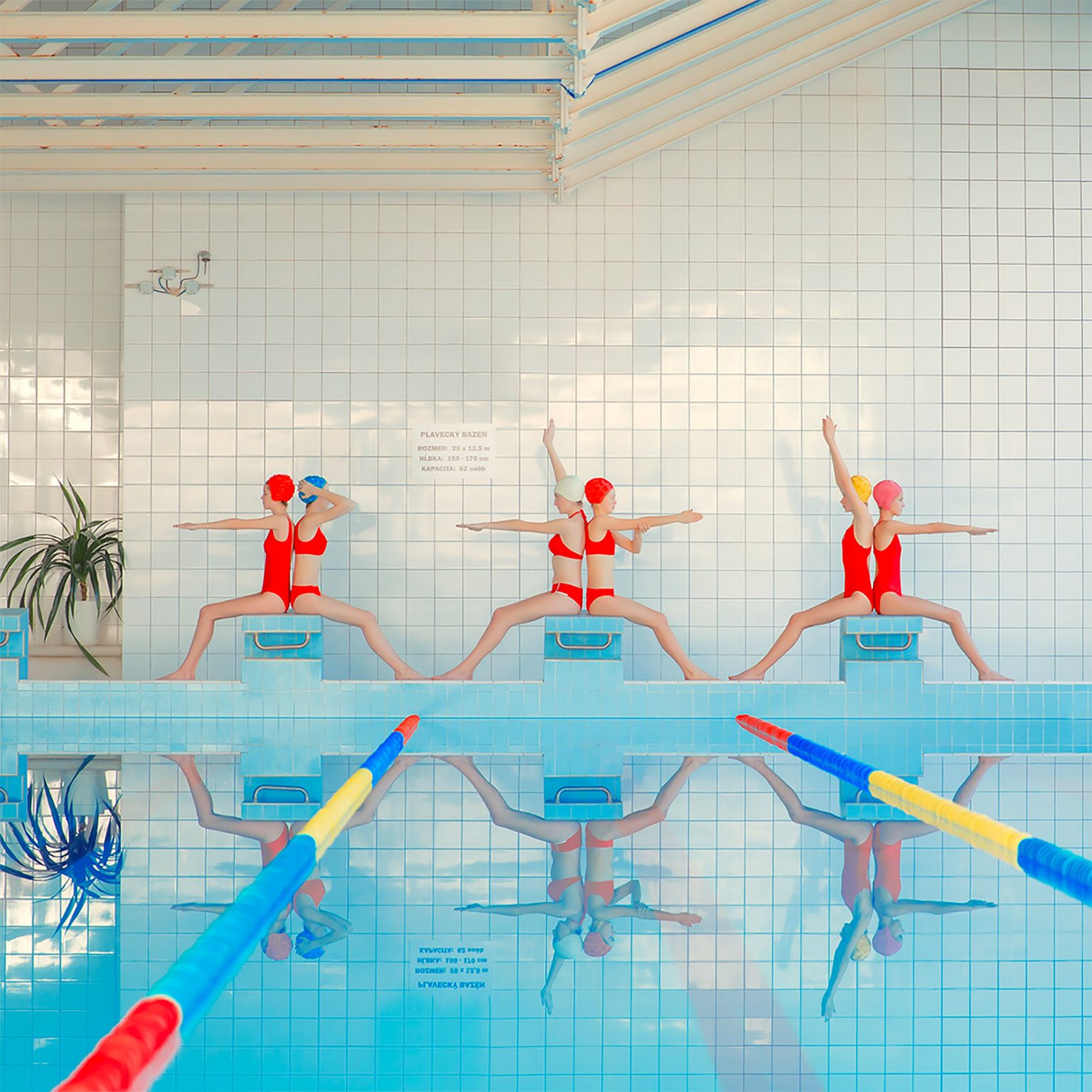 Fresh Look at Aquatic Photos By Mária Švarbová Daily Design Inspiration For Creatives