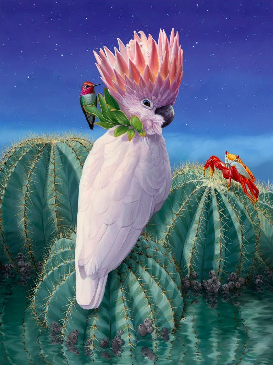 Flora Fauna Paintings By Jon Ching Daily Design Inspiration For flora-fauna-paintings-by-jon-ching-daily-design-inspiration-for