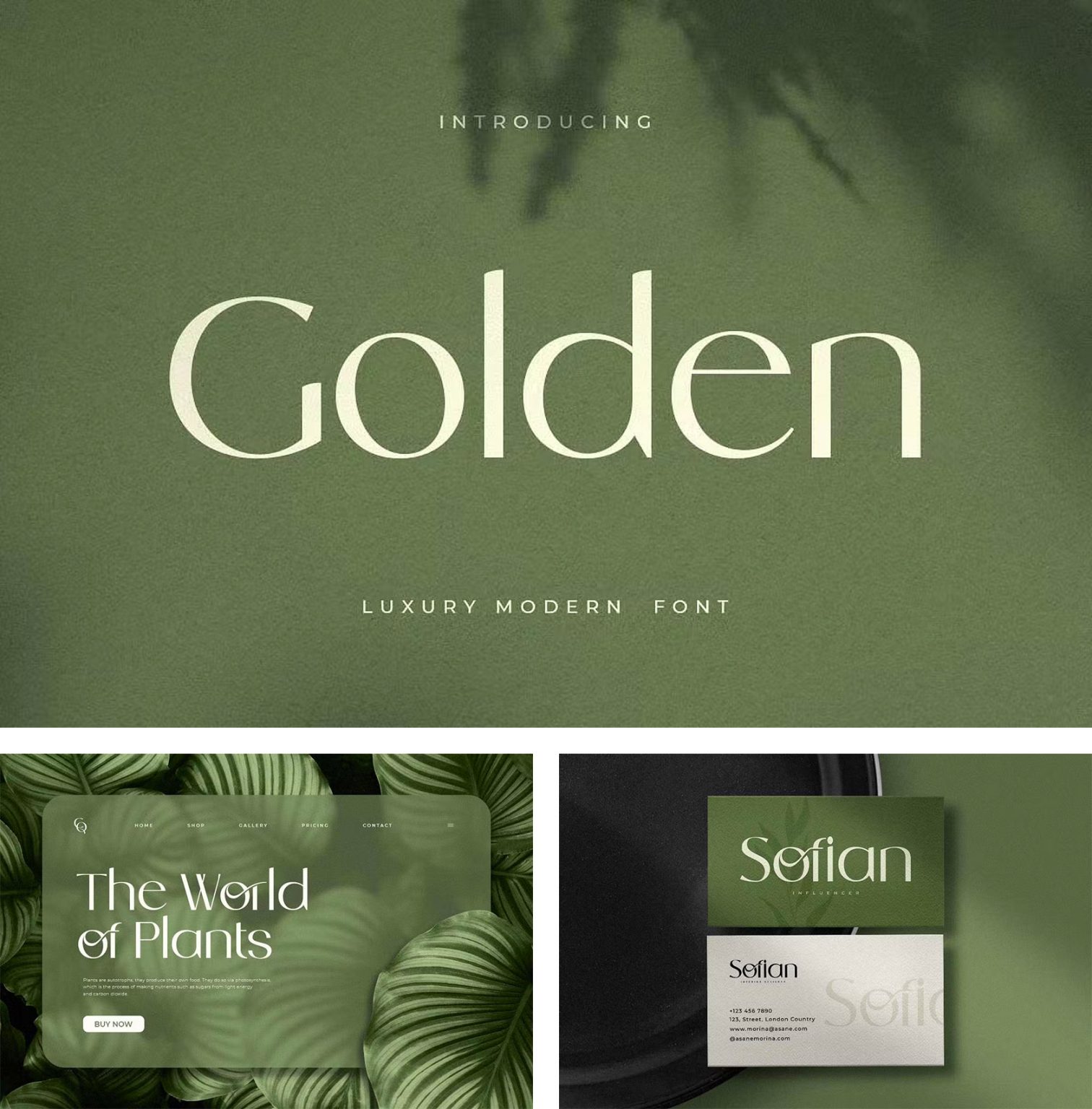 Best Free & Premium Fonts for Graphic Design in 2022 | Daily design ...