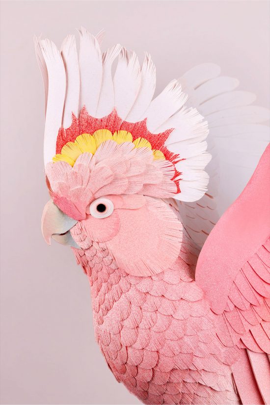 Marvelous Paper Creations by Diana Beltran Herrera | Daily design ...