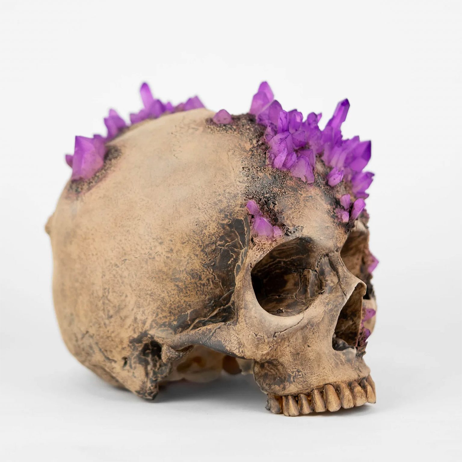 The Human Skull as Canvas: Sculptures by Andy Firth | Daily design ...