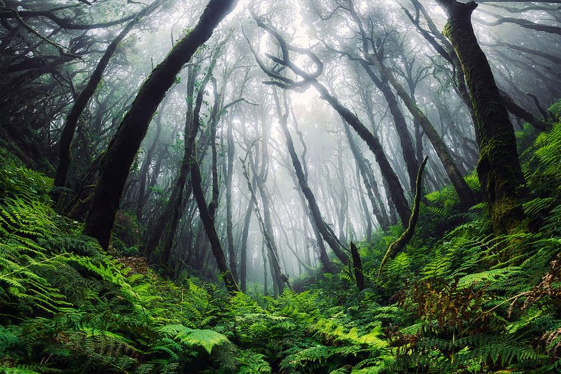 Discover The Canary Islands with Photographer Lukas Furlan | Daily ...