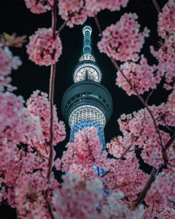 Awe-Inspiring Photos of Japan by Tatsuto Shibata | Daily design ...