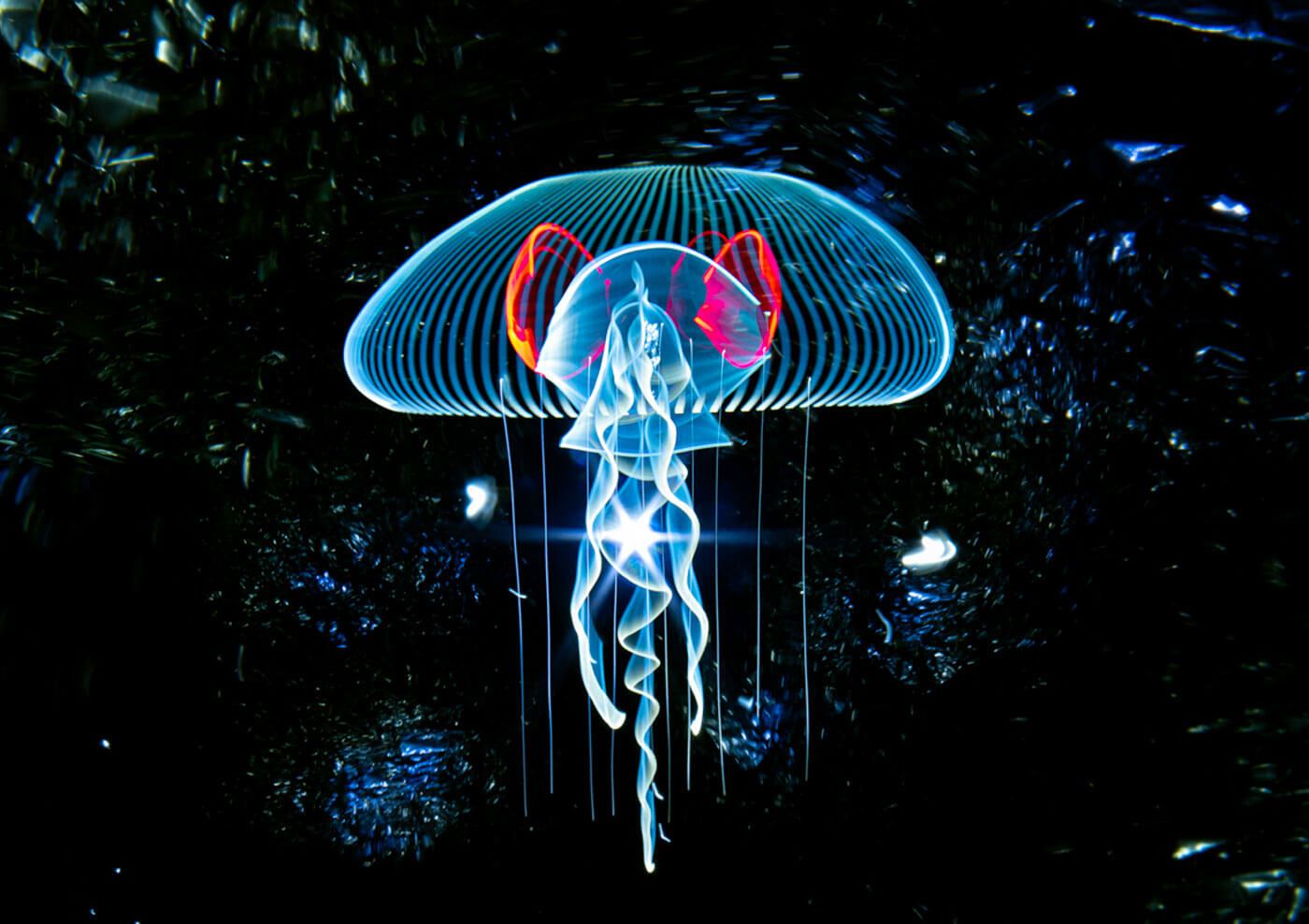 Bioluminescent Art: Creating Illuminated Masterpieces