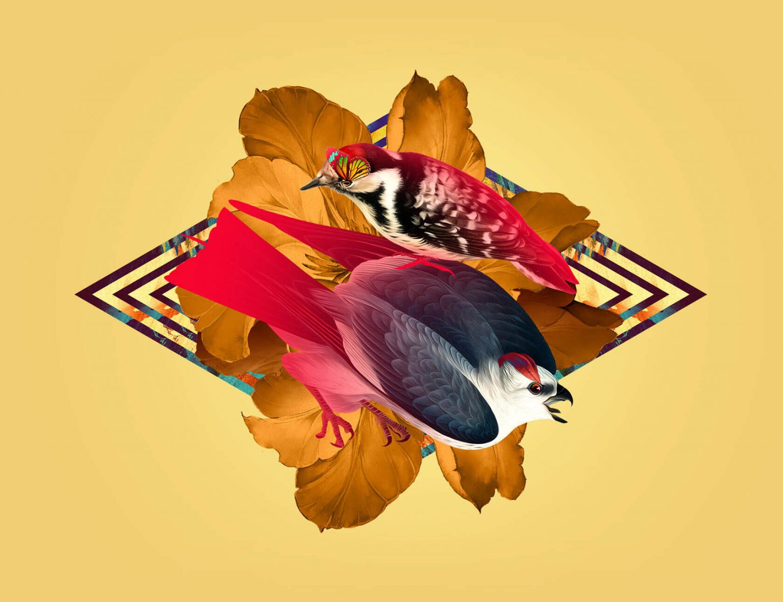 Wild Collages by Guillermo Flores Pacheco Daily design inspiration