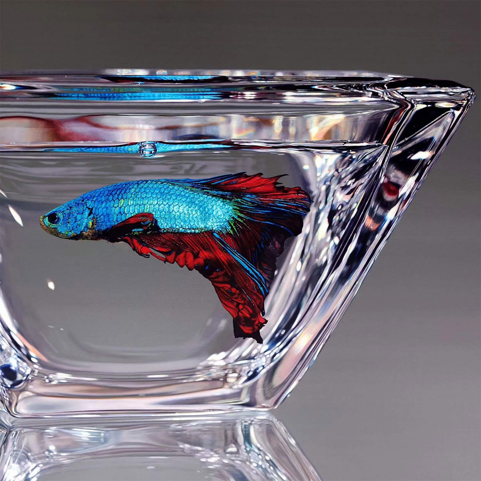 Amazing Hyperrealistic Paintings by Young-sung Kim | Daily design ...