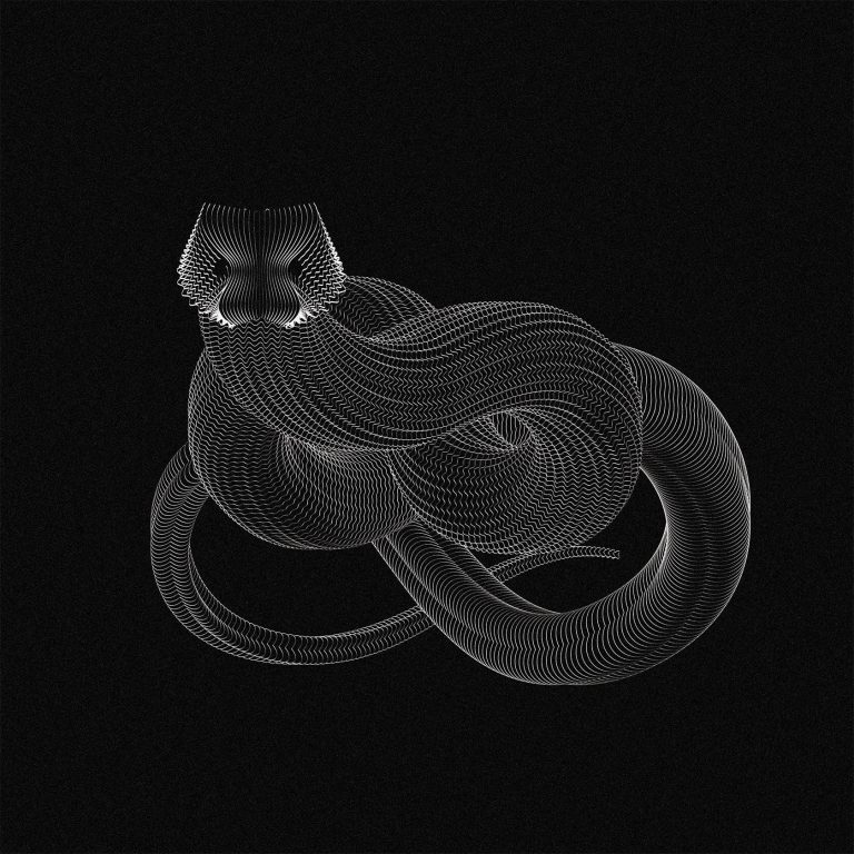 Fluid Lines: Illustrations by Andrea Minini | Daily design inspiration ...