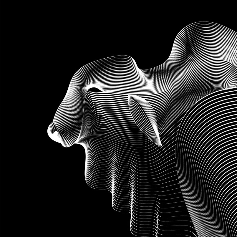 Fluid Lines: Illustrations by Andrea Minini | Daily design inspiration ...