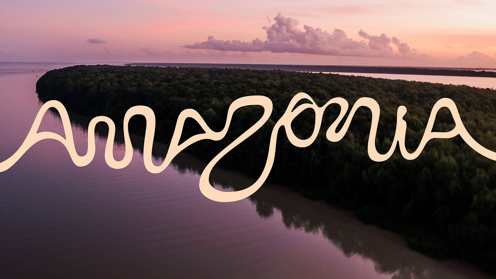 branding-amazonia-01.jpg