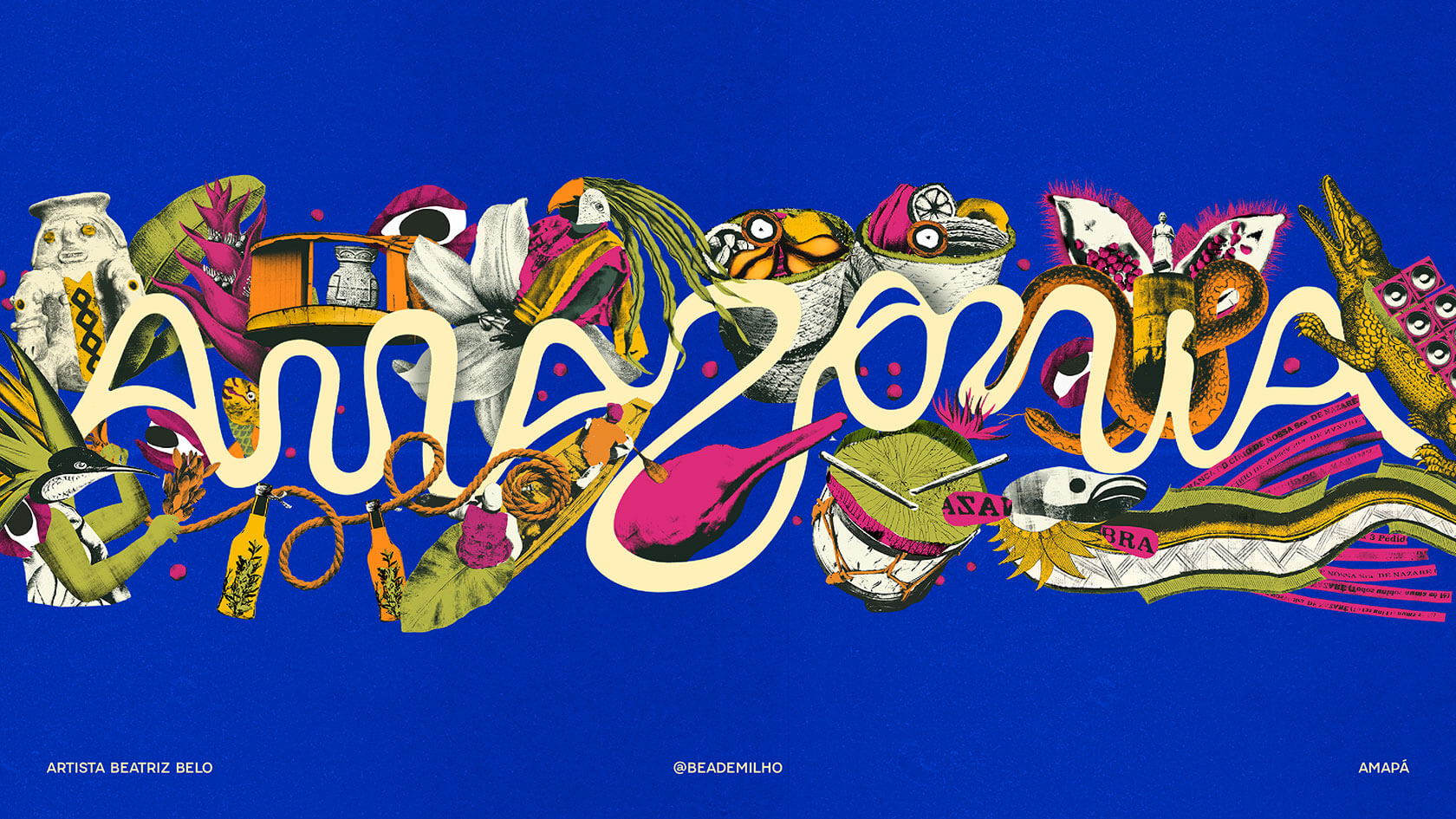 branding-amazonia-02.jpg