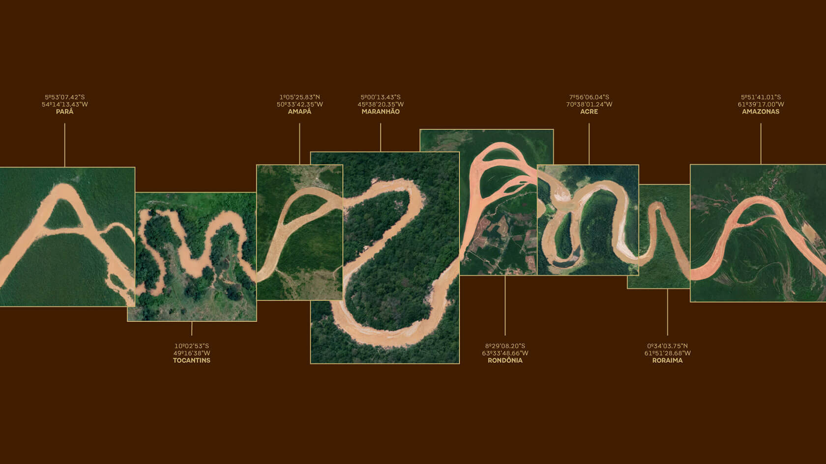 branding-amazonia-05.jpg