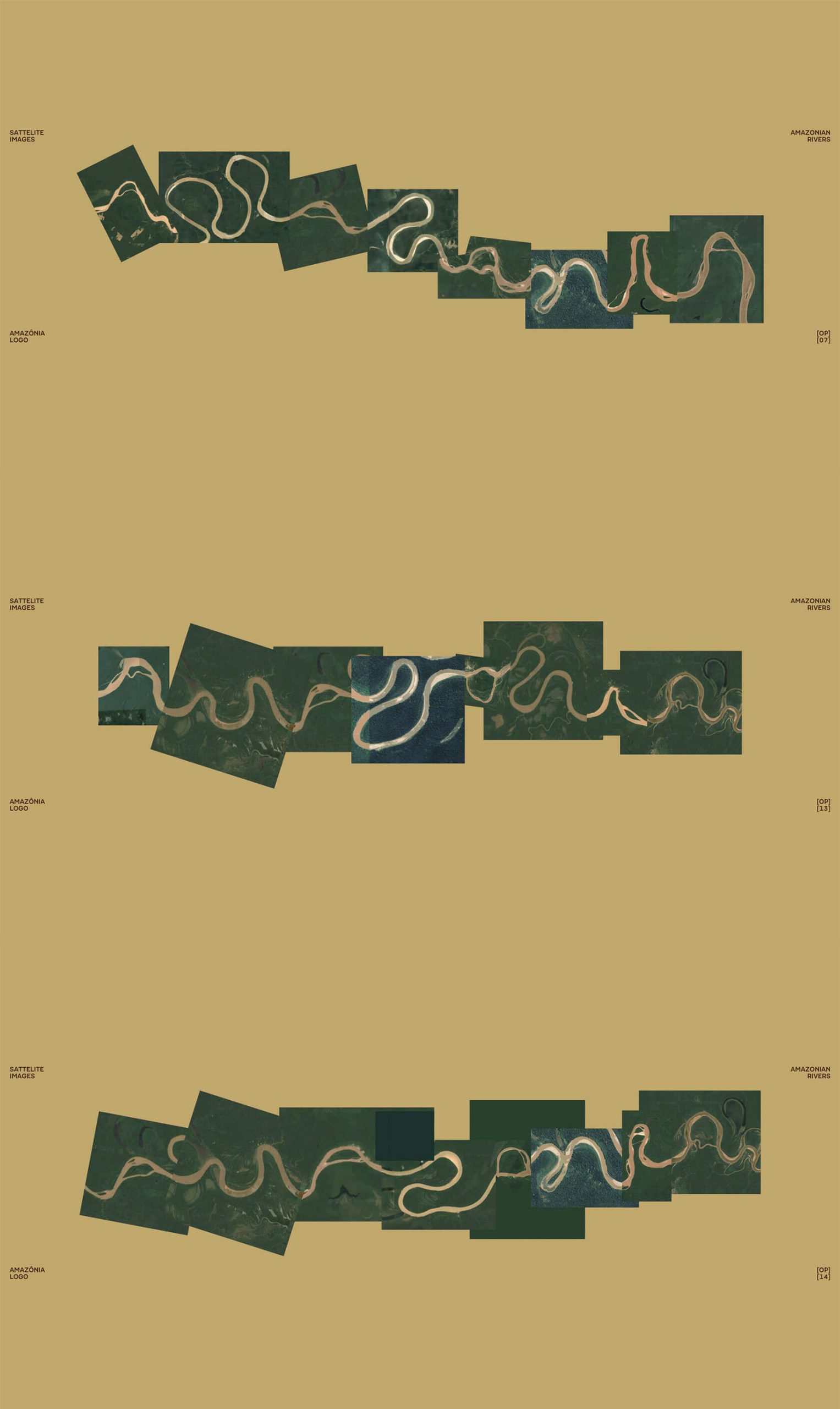 branding-amazonia-06-scaled.jpg
