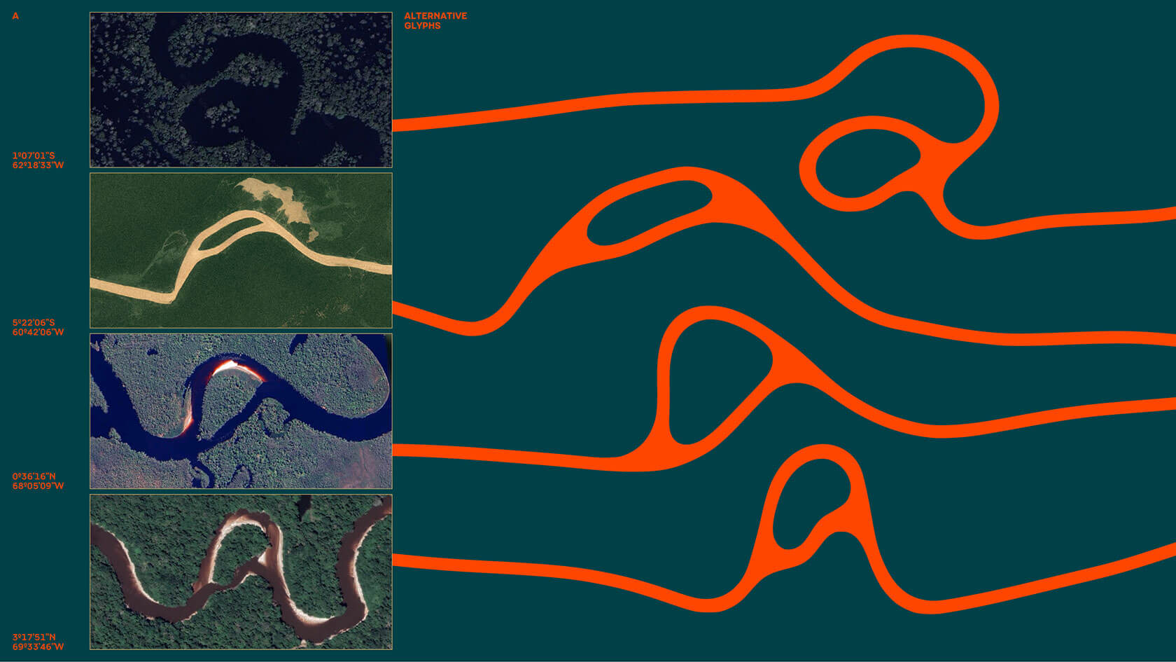 branding-amazonia-07.jpg