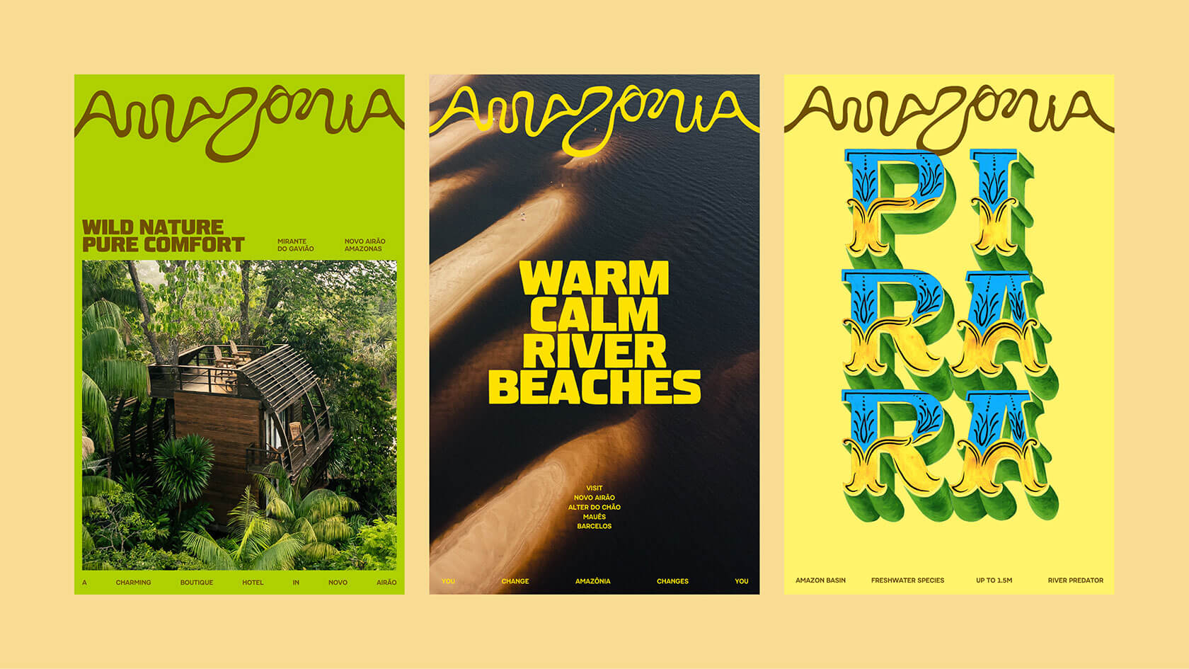 branding-amazonia-19.jpg